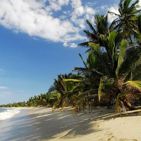 Embedodo Beach House, Ushongo Beach, Pangani Ushongo Mabaoni Eksteriør billede