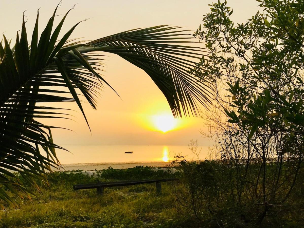 Embedodo Beach House, Ushongo Beach, Pangani Ushongo Mabaoni Eksteriør billede