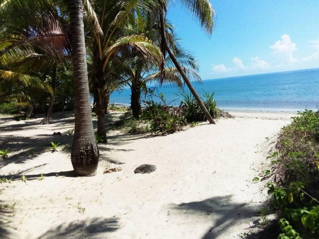 Embedodo Beach House, Ushongo Beach, Pangani Ushongo Mabaoni Eksteriør billede