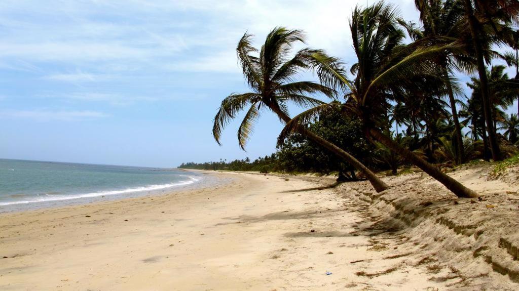Embedodo Beach House, Ushongo Beach, Pangani Ushongo Mabaoni Eksteriør billede