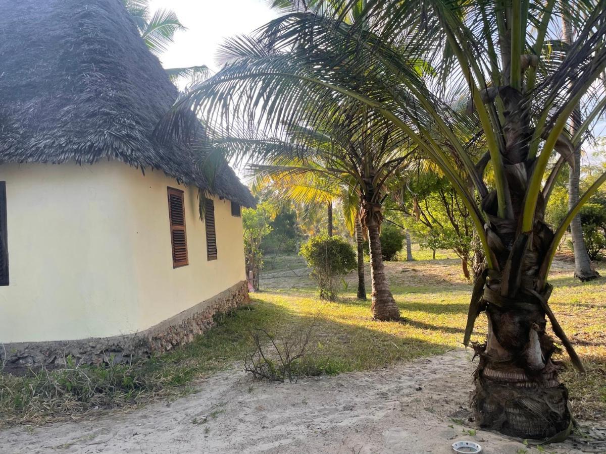 Embedodo Beach House, Ushongo Beach, Pangani Ushongo Mabaoni Eksteriør billede